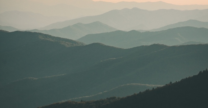 Elevated Therapy Institute